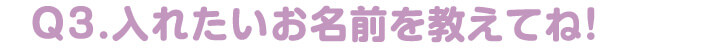 入れたいお名前を入れてね